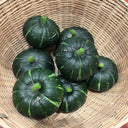 Green Baby Pumpkin Seeds, 50 Seeds