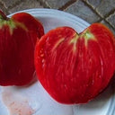 Russian Pink Oxheart Tomato Seeds, 3 Seeds