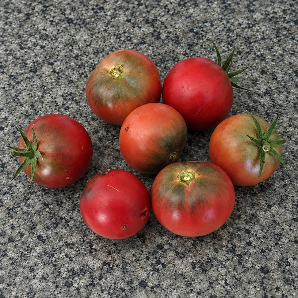 364 Dwarf Mary's Cherry Tomato, 5 Seeds