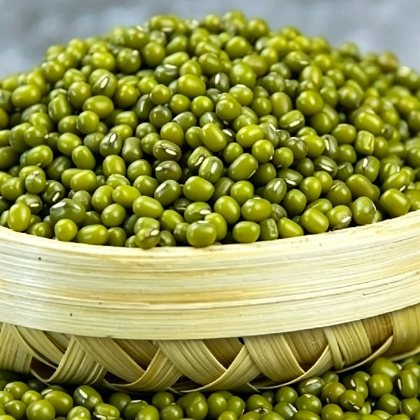 'Fenlüdou No.3' Mung Bean Seeds, 40 Grams ≈ 600 ~ 700 Seeds