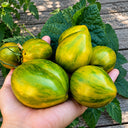 263 Variegated Green Banana Tomato, 5 Seeds