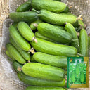 'Superior' Classic Fruit Cucumber Seeds, 3g