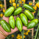 551 Emerald Green Tomato, 5 Seeds