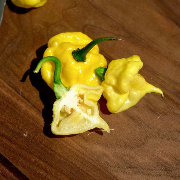 KS Lemon Starrburst Pepper, 5 Seeds