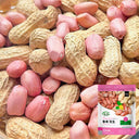 Lushou Peanut Seeds, 20 Seeds