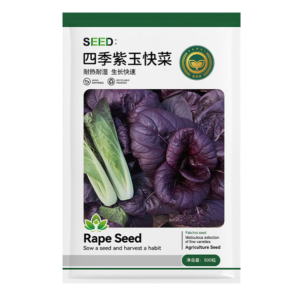 Jingyan Purple Pak Choi Rape Seeds