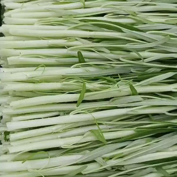 'JieMei' White-Stemmed Water Spinach Seeds, 20g