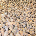 Pillow Pumpkin Seeds, 10 Seeds