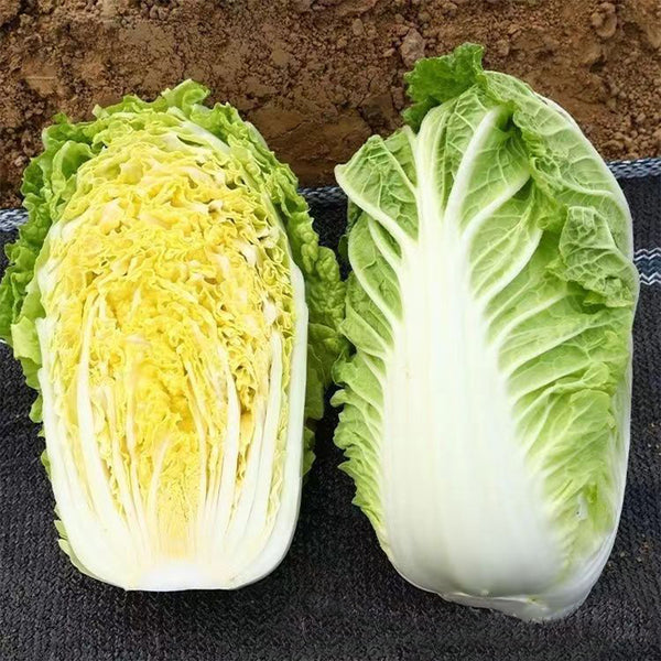 Quanfu Baby Cabbage Seeds, 5 × 5g Bags