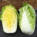 Quanfu Baby Cabbage Seeds, 5 × 5g Bags
