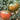 'Strawberry' Tomato Seeds, 20 Seeds