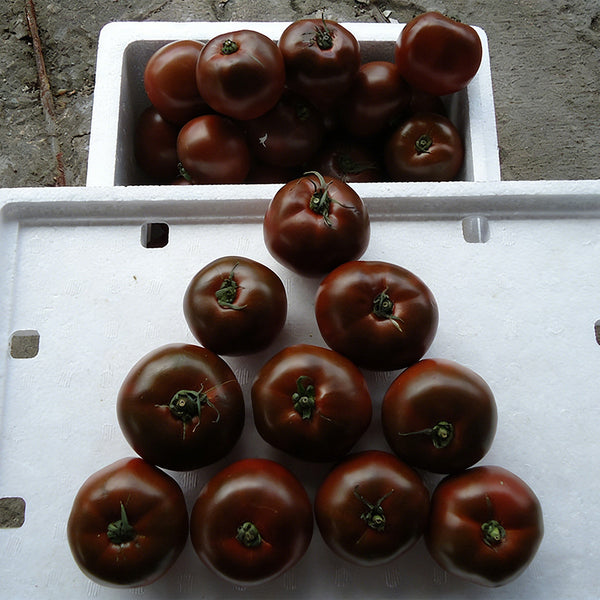 Chocolate Tomato, 100 Seeds