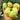 608 Dwarf Emerald Giant Tomato, 5 Seeds