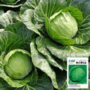 Cuixiaoluo Round Cabbage Seeds, 2g