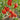 287 Mystery of the Rose Valley Tomato, 5 Seeds