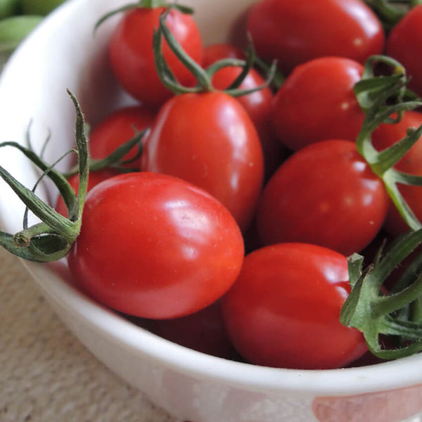 Fen Meina Cherry Tomato, 200 Seeds