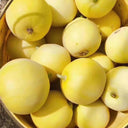 Pale Yellow Crispy Melon Seeds, ~100 Seeds
