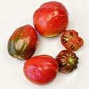 372 Sugar Plum Fairy Tomato, 5 Seeds