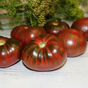 627 Dwarf Mississippi Queen Tomato, 5 Seeds