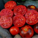 721 Bandit Queen Tomato, 5 Seeds