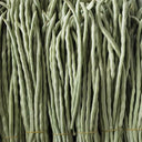 'Jiemei' Glossy White Long Bean Seeds, 20g