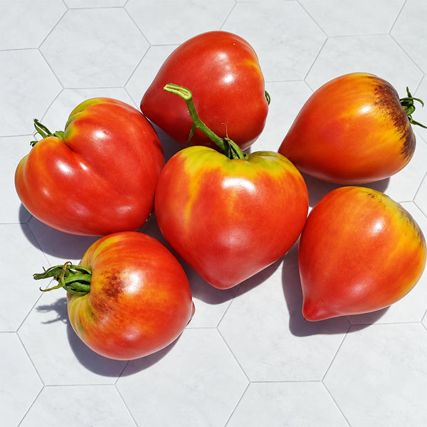 271 Strawberry Sergeant F5 Tomato, 5 Seeds