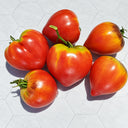 271 Strawberry Sergeant F5 Tomato, 5 Seeds