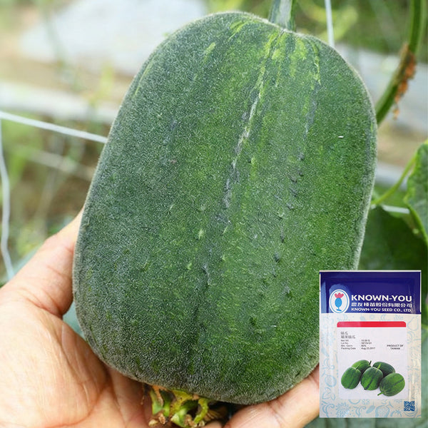 Taiwan Apple Luffa Seeds, 10g