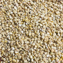 White Quinoa Planting Seeds, 30 Grams ≈ 10000 Seeds