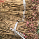 Hedysarum Polybotrys, 30 Seeds