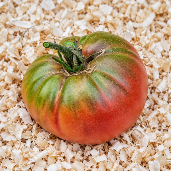 520 Jeff Davis Tomato, 5 Seeds