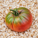 520 Jeff Davis Tomato, 5 Seeds