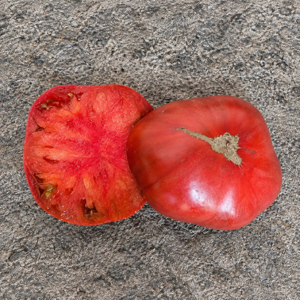260 Dana's Dusky Rose Tomato, 5 Seeds
