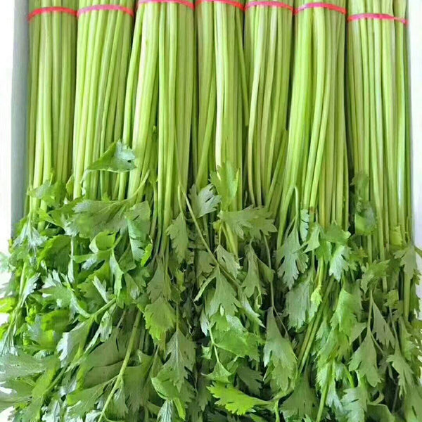 Michelin Fruit Celery Seeds, 10g
