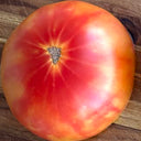 Northern Lights Tomato Seeds, 5 Seeds