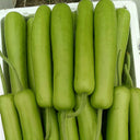 'Zhepu No.6' Bottle Gourd Seeds, 10g