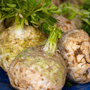 Celeriac 'Giant Prague' Seeds, 2000 Seeds
