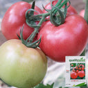Gemjet No.5 F1 Tomato Seeds, 100 Seeds