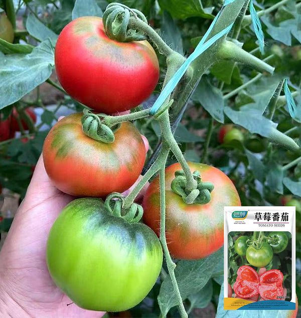 'Strawberry' Tomato Seeds, 20 Seeds
