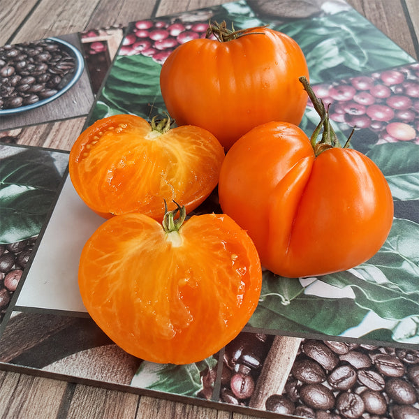 308 Orange Strawberry Tomato, 5 Seeds