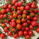 Sweet Aperitif Tomato, 5 Seeds