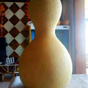Xinjiang Bottle Gourd, 5 Seeds