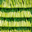 Guangdong Sijiu Choy Sum Seeds, 20g