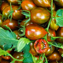 Royal Violet Cherry Tomato Seeds, 20 Seeds