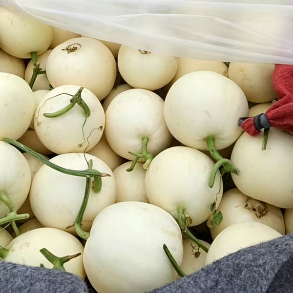Shengyu No.1 F1 Melon, 200 Seeds