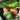 Tigger Melon (Cucumis melo) Seeds, 20 Seeds
