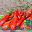 Ten Fingers of Naples Tomato, 10-15 Seeds