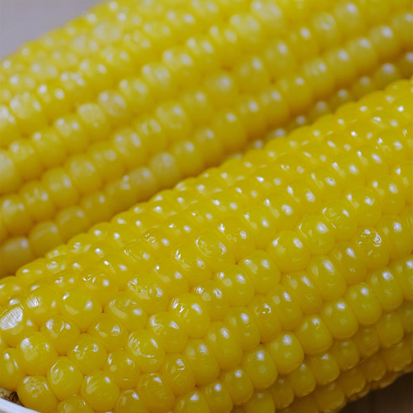 Golden Queen Waxy Corn Seeds, 20g