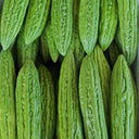 Jiemei 13 Bitter Gourd, 10 Seeds