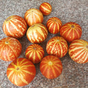Tigger Melon (Cucumis melo) Seeds, 20 Seeds